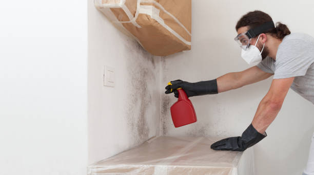 Professional Crawl Space Mold Removal technician working in Holbrook, NY
