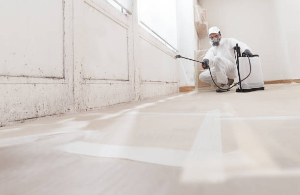 Trusted Crawl Space Mold Removal service in Holbrook, NY - WQB Mold Removal