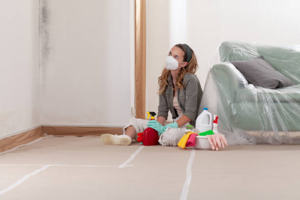 Reliable Crawl Space Mold Removal contractor in Holbrook, NY by WQB Mold Removal